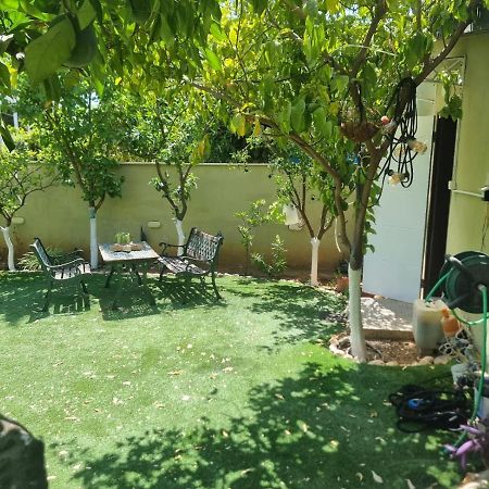 B&B Amit 18 Minutes From The Airport - אירוח כפרי עמית 18 דקות משדה תעופה Petach Tikva 외부 사진